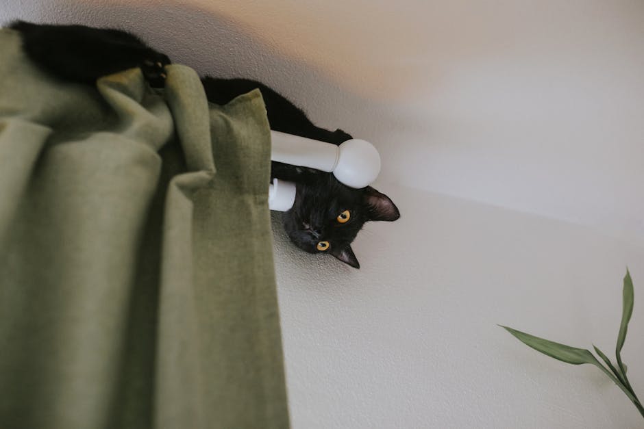 Why Pet Hair Clings to Sheer Curtains