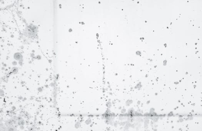 Prevent Mold on Blackout Curtains: Simple Steps